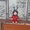 Foto de perfil de lady bug ada