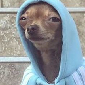 Foto de perfil de Bisteca