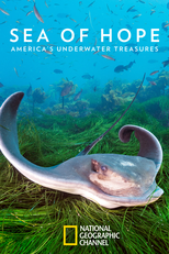 Tesouro Submarino (Sea of Hope: America's Underwater Treasures)