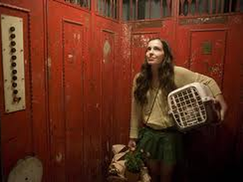 Foto 1 de O Nome do Gato