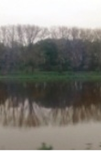 Poster de Curta Trainspotter (2017)