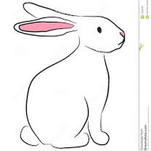 Foto de perfil de O COELHO