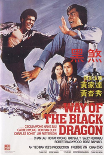 Way of the Black Dragon - Poster / Capa / Cartaz - Oficial 1