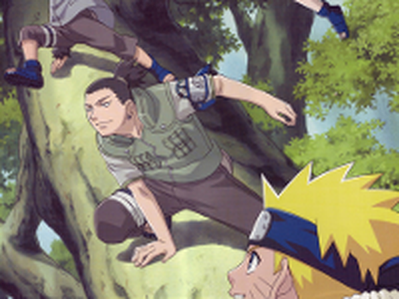 Foto 1 de Naruto (7ª Temporada)