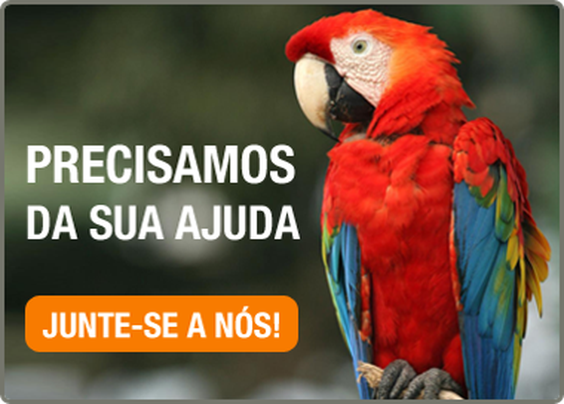 Daniel Pantoja Silva - Foto 2