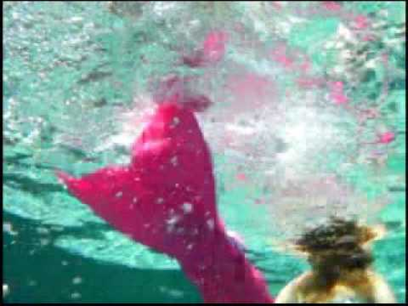 Foto 5 de Secret Life of a Mermaid Primeira temporada