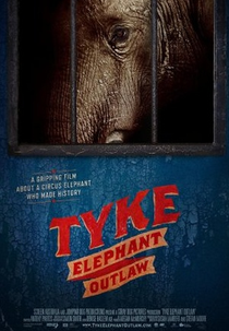 Tyke Elephant Outlaw (Tyke Elephant Outlaw)