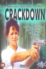 Cidade Partida (L.A. Crackdown)