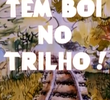 Tem Boi no Trilho!