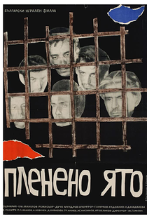 Captive Flock - Poster / Capa / Cartaz - Oficial 1