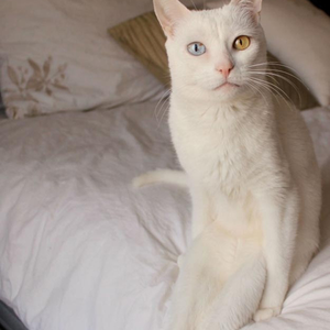 Foto de perfil de Rachel M.