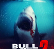 Bull Shark 2