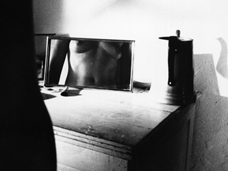 Foto 2 de As Formigas