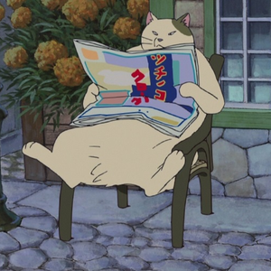 Foto de perfil de Brendison Ventura