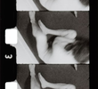 Angle