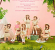 Apink 2nd Concert: Pink Paradise