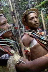 Índios no Brasil - Primeiros contatos (Índios no Brasil - Primeiros contatos)