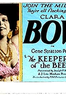 O Guardião das Abelhas (The Keeper of the Bees)