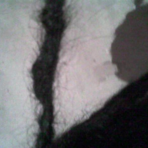 Foto de perfil de Milena Manfredini