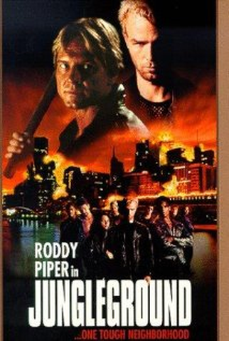 Poster 1 de Filme Território Inimigo (1995)