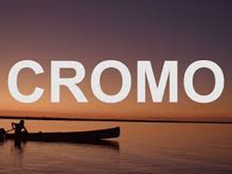 Foto 1 de Cromo (1º Temporada)