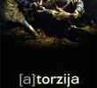 (A)Torzija
