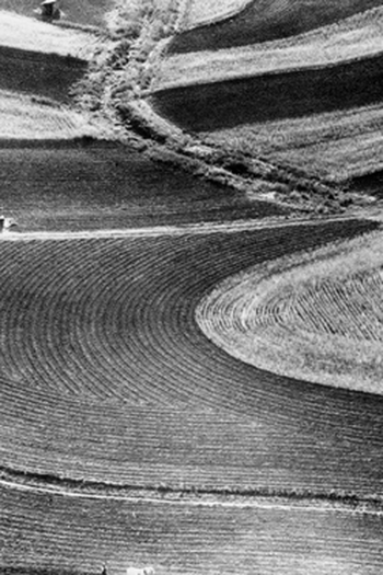 Poster de Curta A Terra (1942)