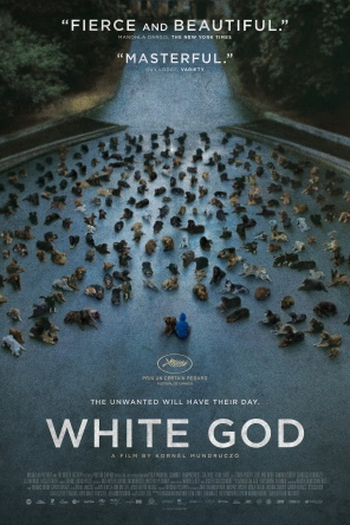  de Filme Deus Branco (2014)