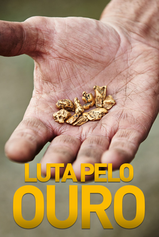 Poster 1 de Filme Luta Pelo Ouro (2013)