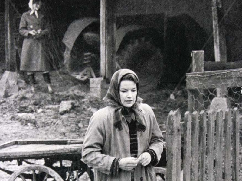 Foto 4 de Trágica Decisão