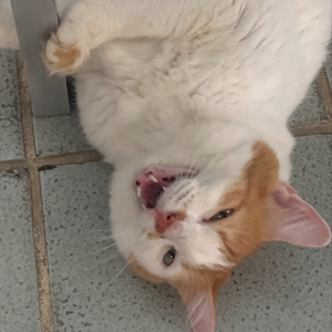 Foto de perfil de Malu