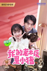 My Piggy Boss (我的老板是小猪)