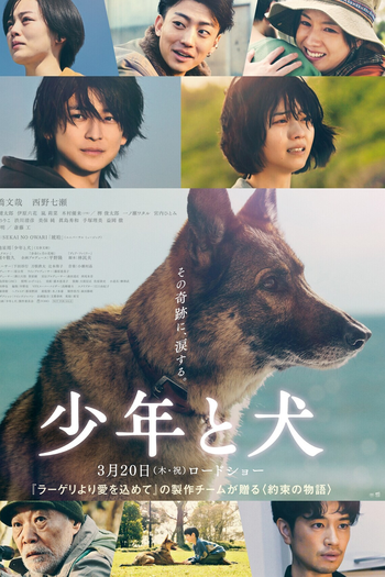  de Filme The Boy and The Dog (2025)