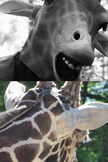 Tales of a Future Past (Tales of a Future Past)