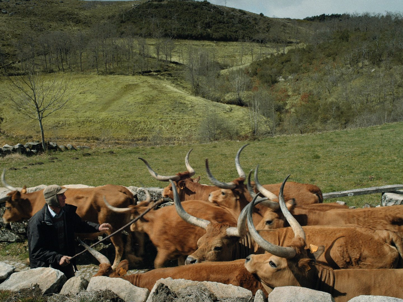 Foto 1 de Volta à Terra