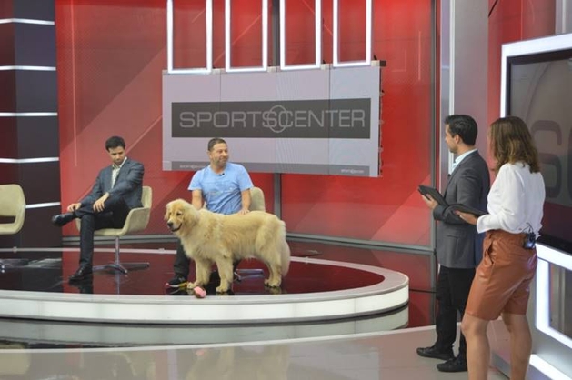 Cachorro do filme de Harrison Ford "invade" estúdios da ESPN