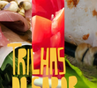 Trilhas do Sabor