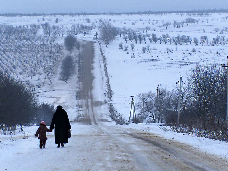 Foto 1 de Mãe Ilegal