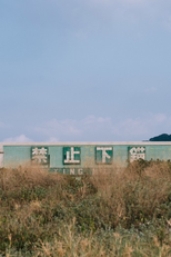 Jin zhi xia mao (Jin zhi xia mao)