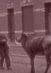 Enquanto isso em algum lugar...1940-1943 (Meanwhile Somewhere...1940-1943)