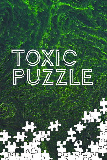  de Filme Toxic Puzzle: O Assassino Oculto (2017)