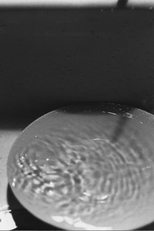 Dripping Water (Dripping Water)