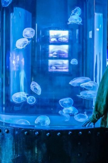 Poster de Episódio Episode 5 (2024)