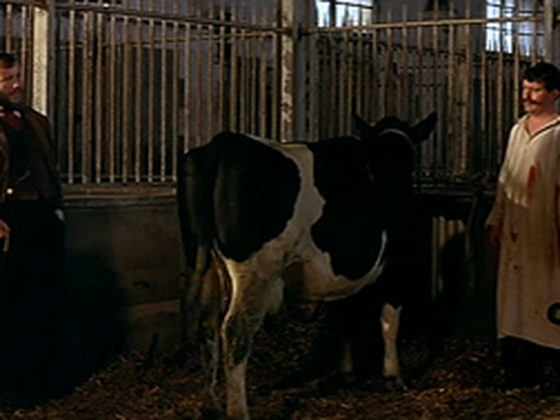 Foto 11 de La communion solennelle