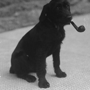 Foto de perfil de r.