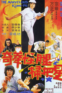 The Marvelous Kung Fu - Poster / Capa / Cartaz - Oficial 1