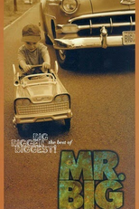 The Best of Mr. Big - Big. Bigger. Biggest! (Mr.Big: Big. Bigger, Biggest, The Best of...)