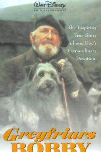 Meu Leal Companheiro: filme de 1961 - Filmow