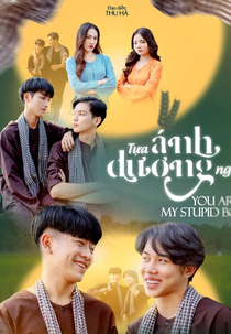 You Are My Stupid Boy (Tựa Ánh Dương Ngời)