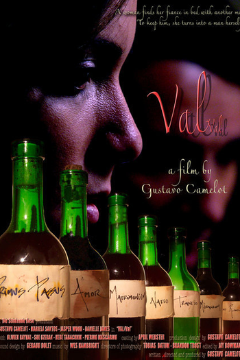 Poster de Filme Val/Val (2005)